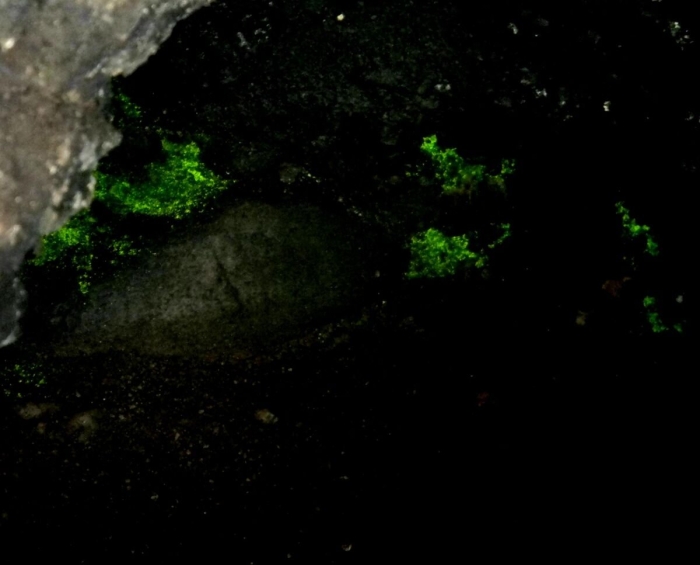 Пещера гоблина