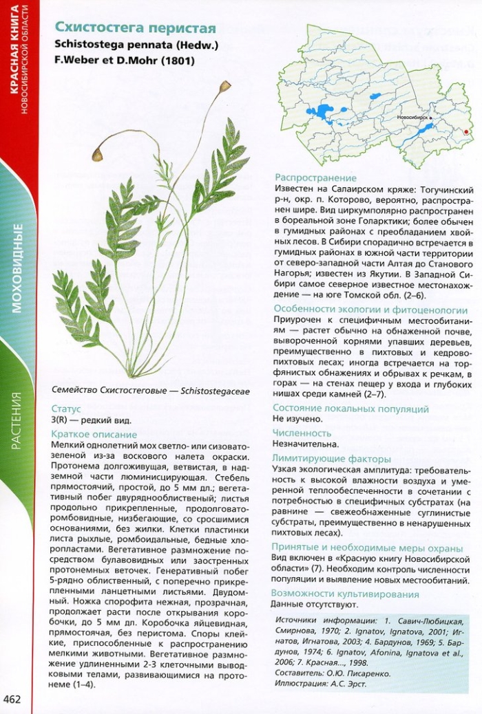 Растения из красной книги новосибирской области