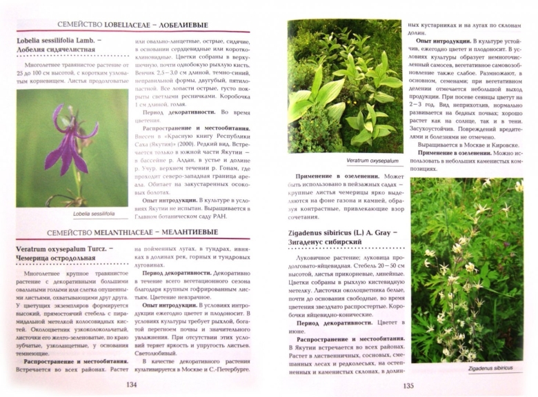 Лекарственные растения Якутии