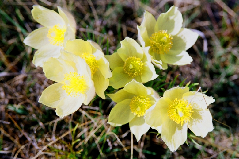 Лоокуут уонна Ньургуьун