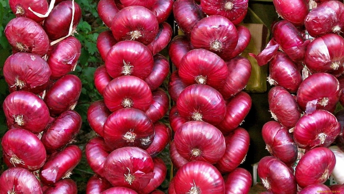 Лук ялтинский красный