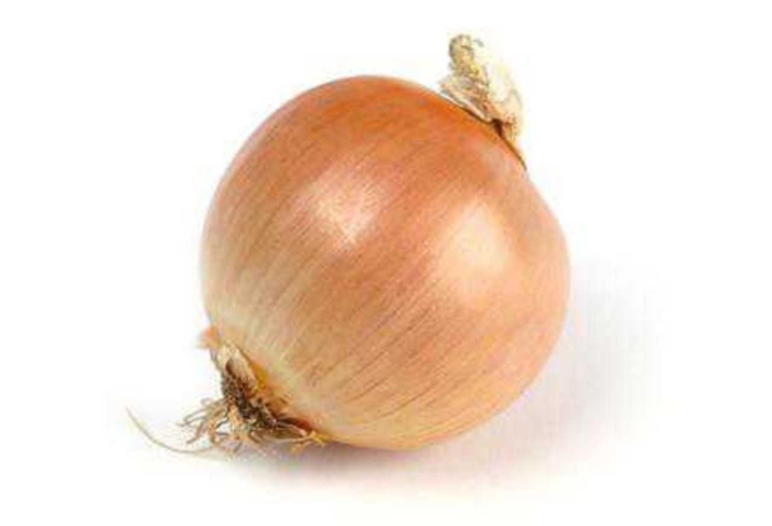 Репчатый лук