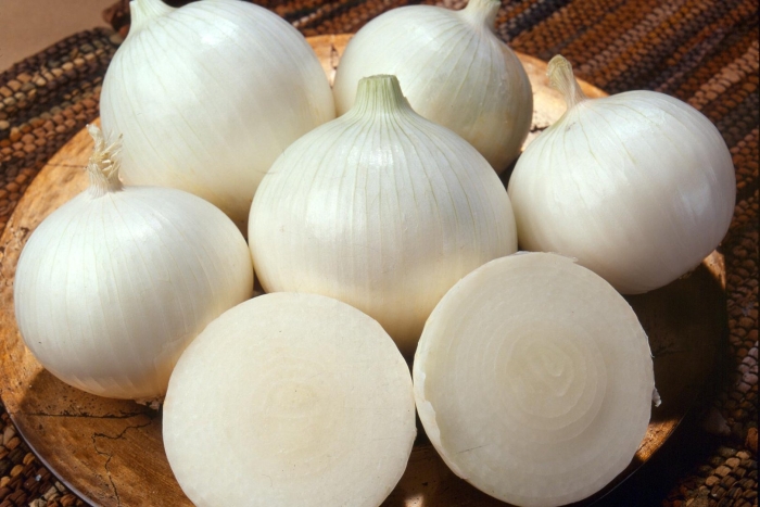 Лук репчатый белый