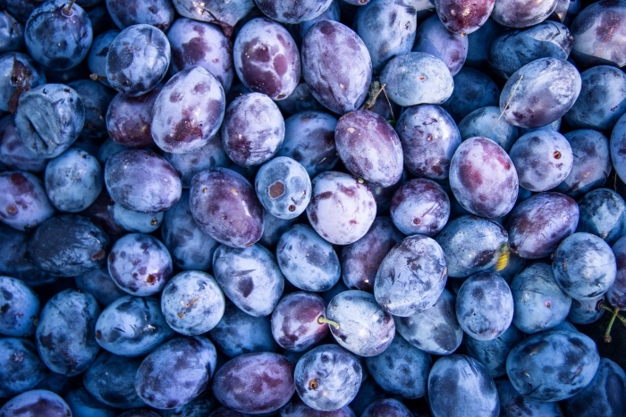 Слива синяя