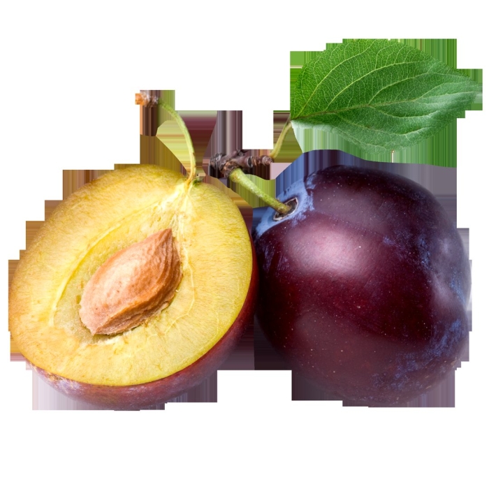 Слива блюфри