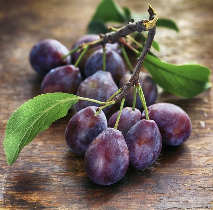 Слива сезонная