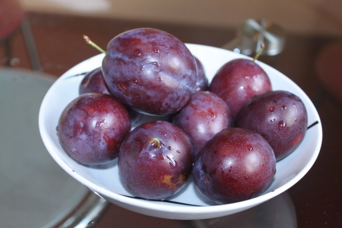 Слива вишня