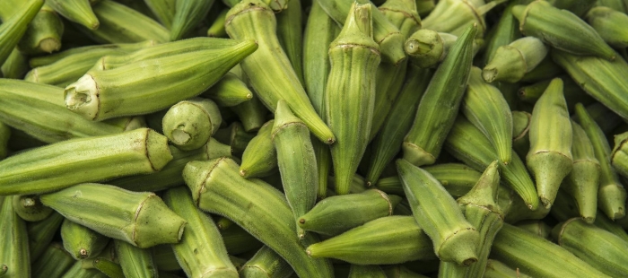 Экзотика бамия