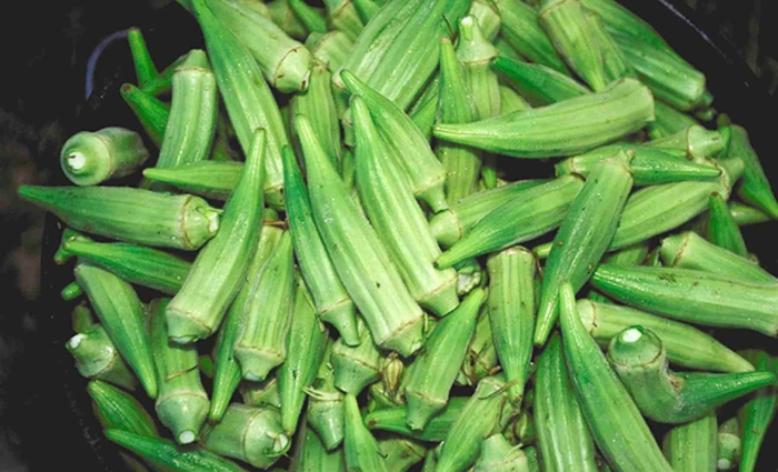 Бамия листья