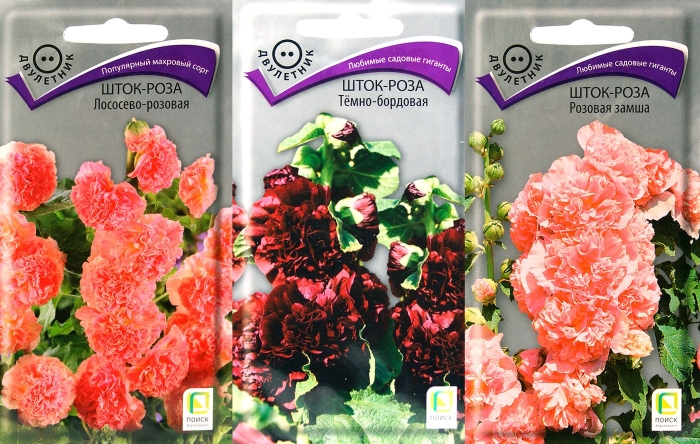 Мальва шток роза семена