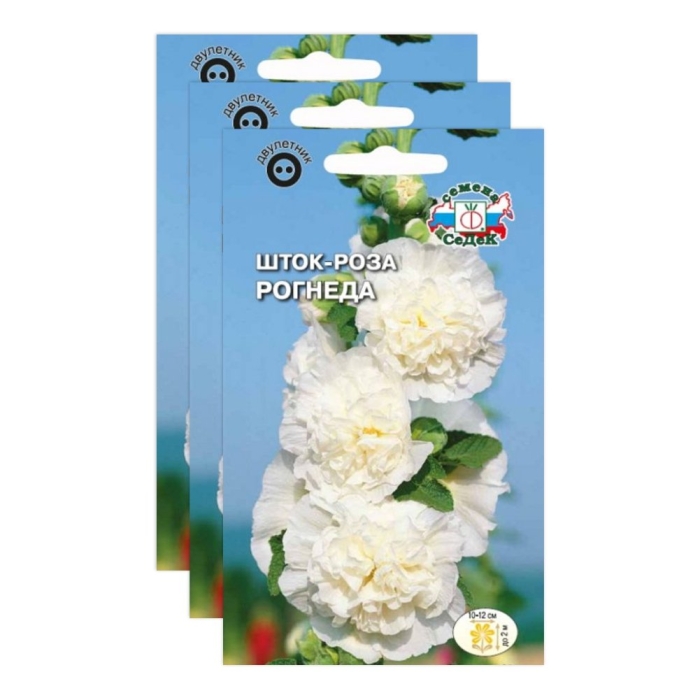 Шток роза белая