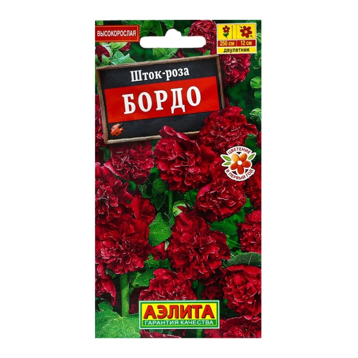 Шток роза бордо