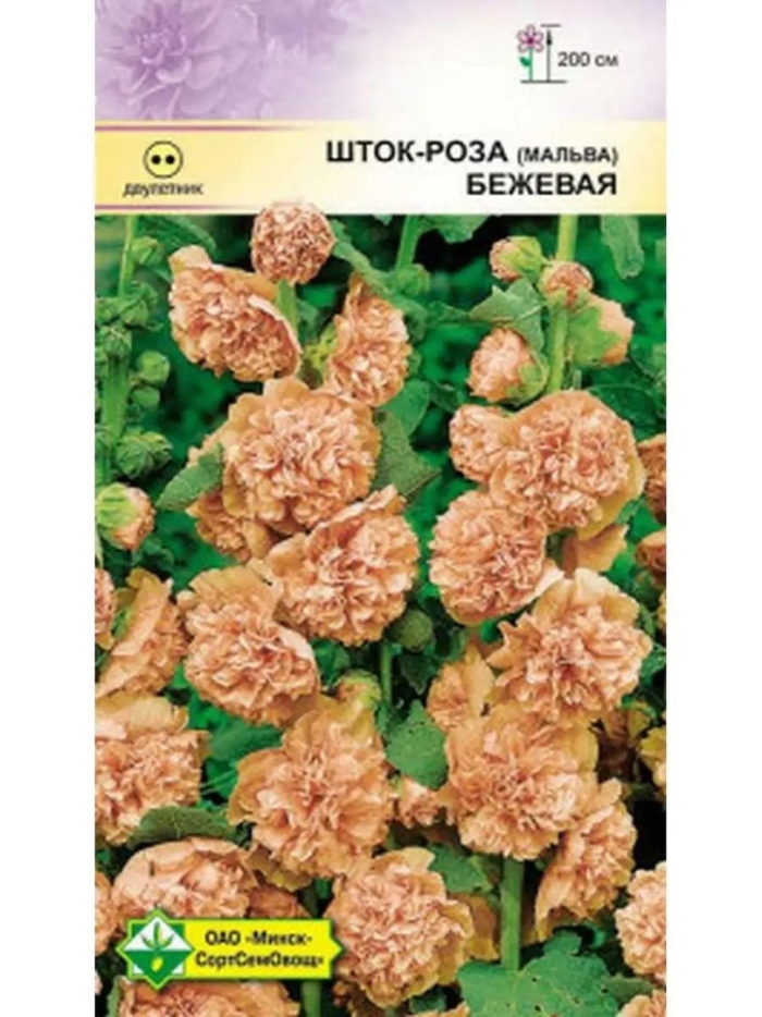 Шток роза бежевая