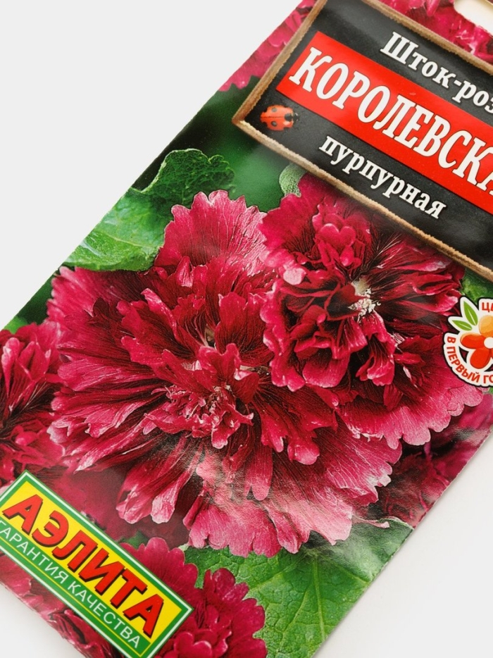 Шток роза королевская пурпурная