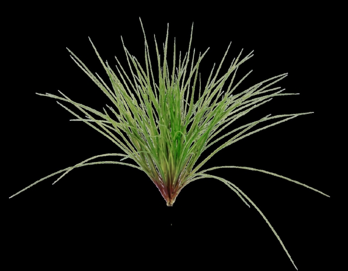 Искусственная трава осока