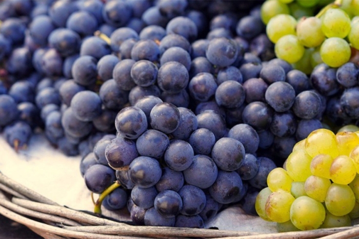 Виноград сорт