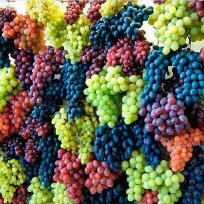 Микс из винограда