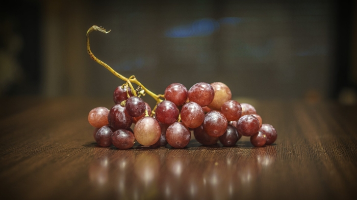 Виноградная лоза