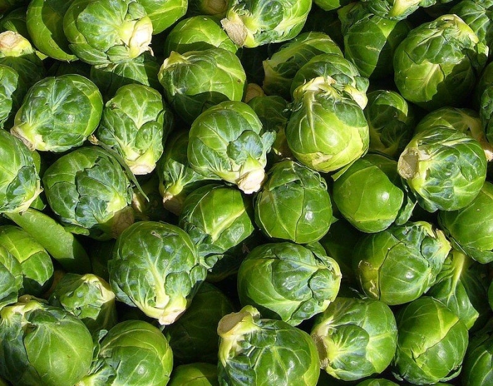 Капуста брюссельская розелла