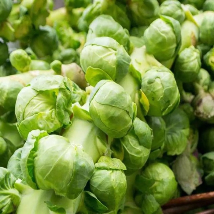 Капуста брюссельская геркулес