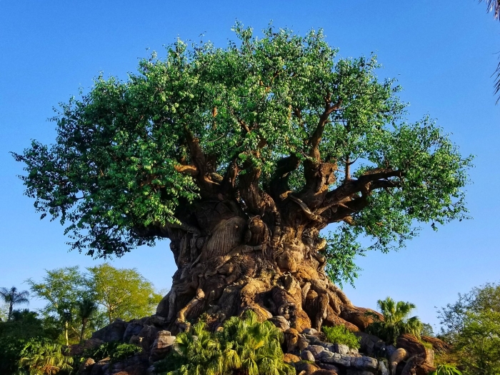 Disney s animal kingdom