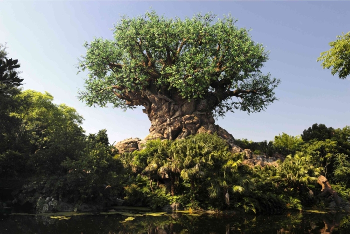 Disney s animal kingdom theme park