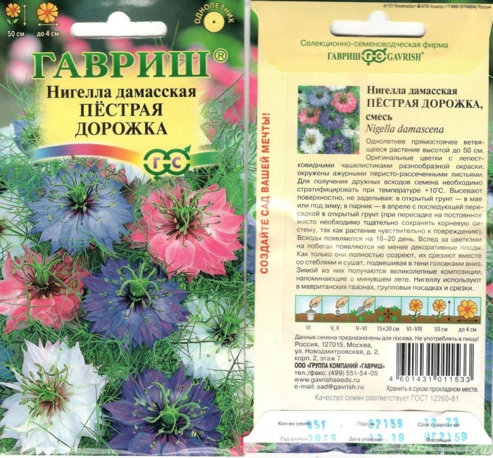 Нигелла дамасская пестрая дорожка