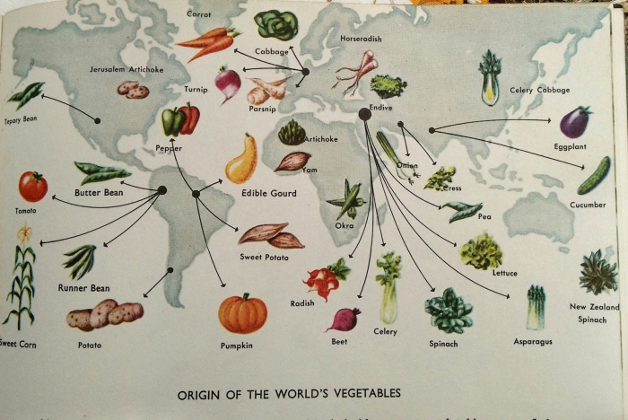 Центры происхождения культурных растений на карте мира