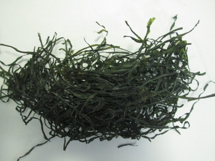 Ламинария японика