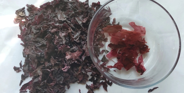 Сушеная ламинария