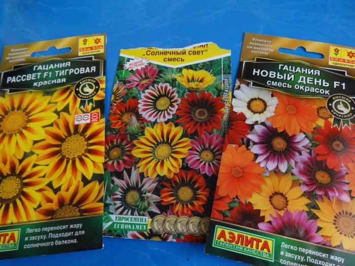 Гацания новый день f1 смесь