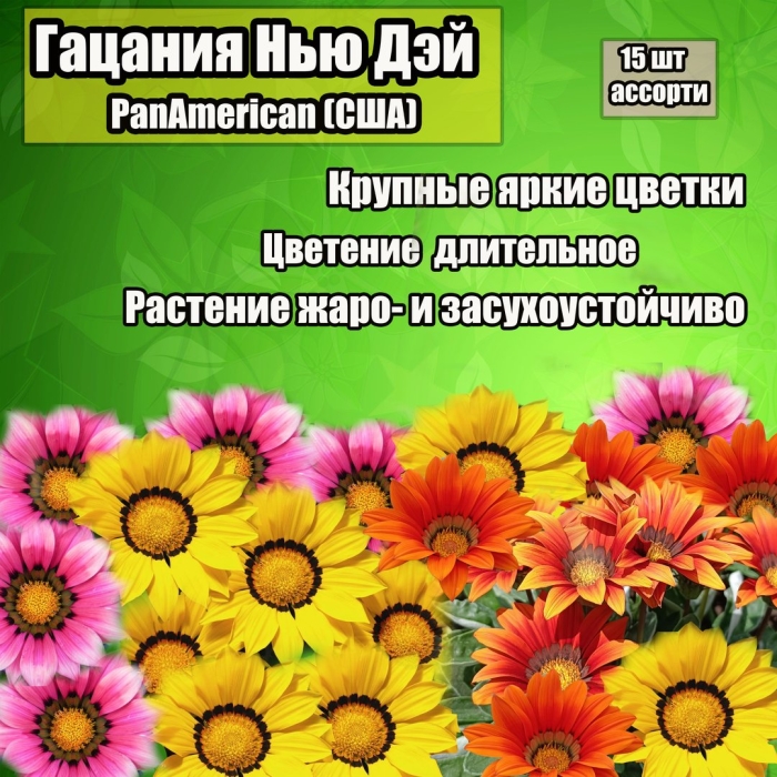 Гацания нью дей