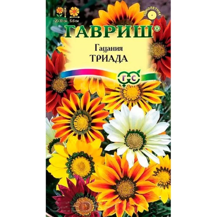 Гацания триада гавриш