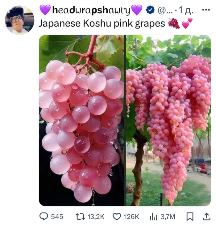 Виноград сорт