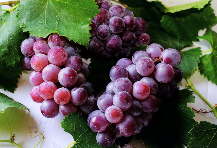 Seedless grapes виноград