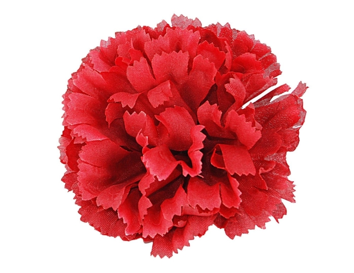 Гвоздика крупная