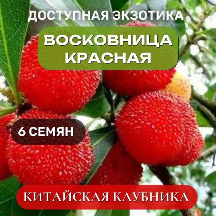 Красная восковница