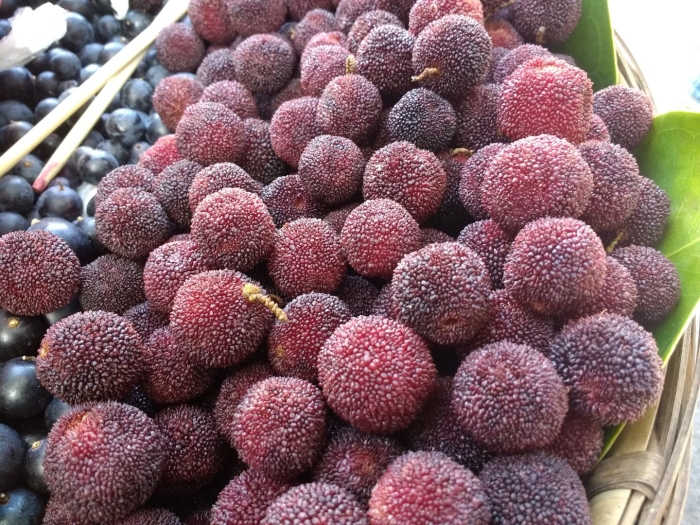 Восковая ягода