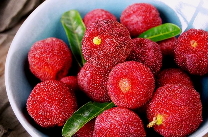 Ягода янгмей