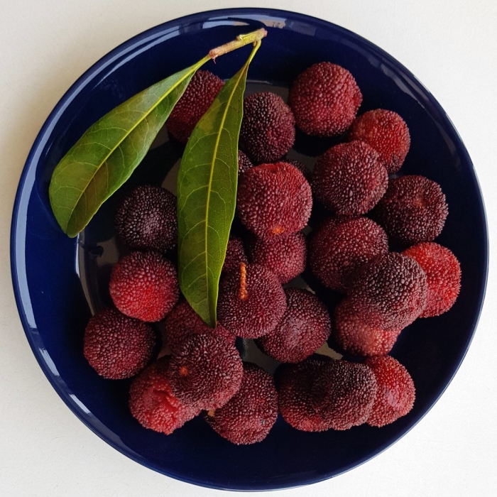 Китайская клубника восковница