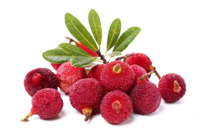 Myrica rubra фрукт