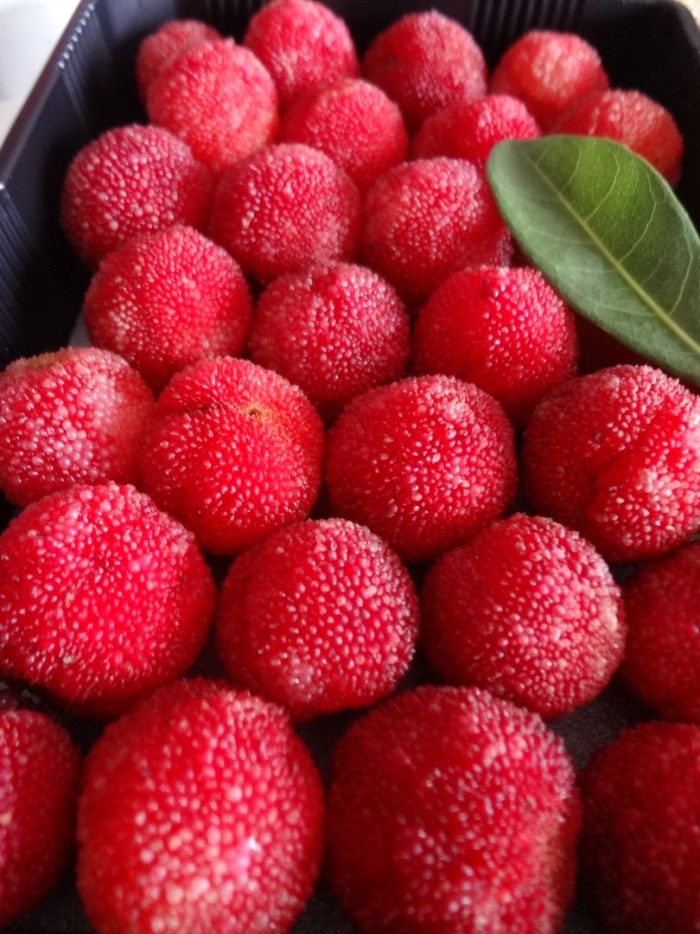 Янгмей китайская земляника