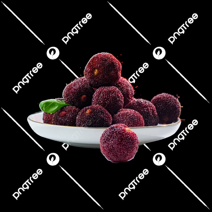 Восковница myrica rubra