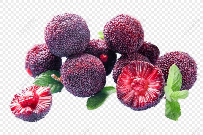 Китайская клубника восковница