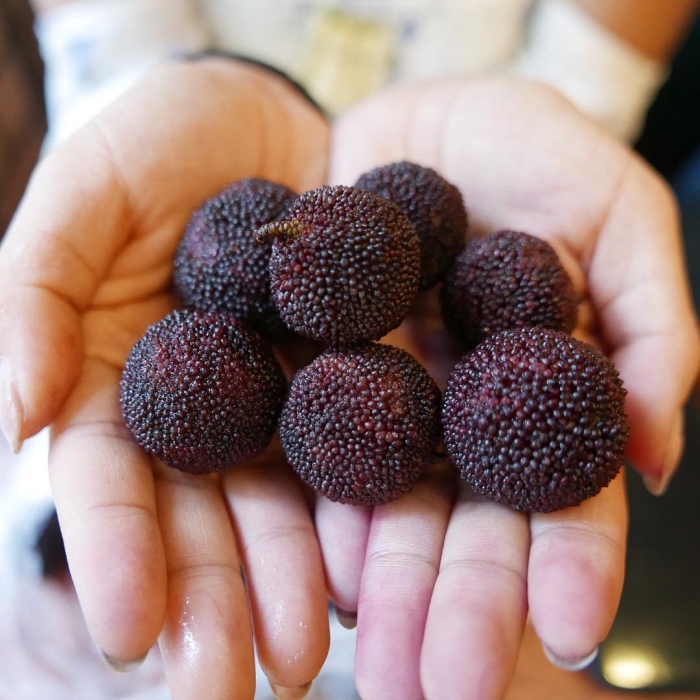 Янгмей фрукт