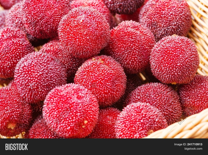 Китайская клубника восковница