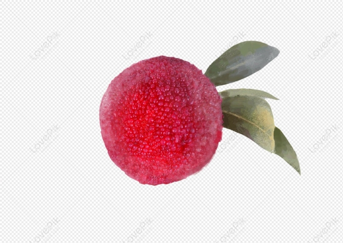 Китайская клубника восковница