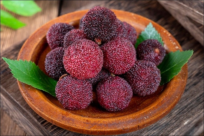 Китайская клубника восковница