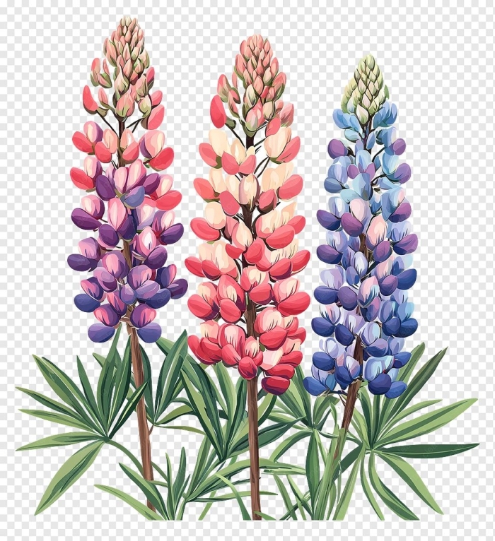 Ботаническая иллюстрация