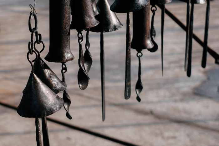 Садовые колокольчики